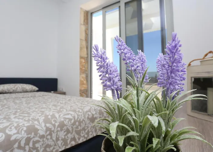 The Miracle * Pefkochori